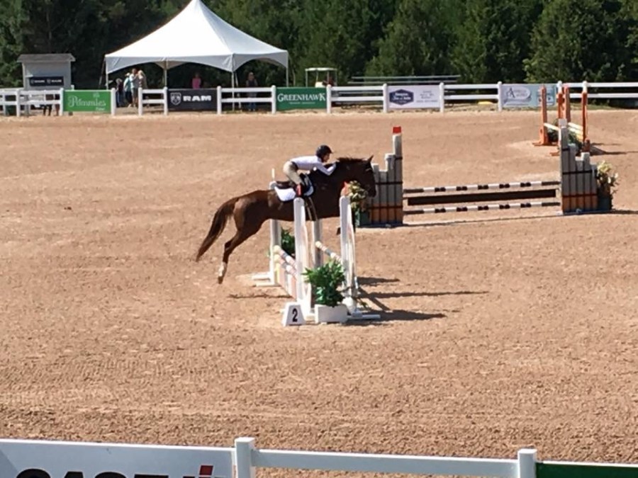 Vixen: Jumper show over fences
