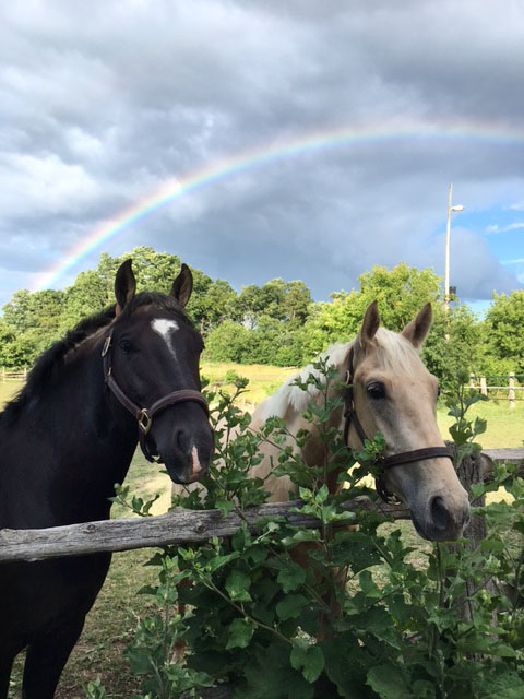 Scenes from Rossland Stables