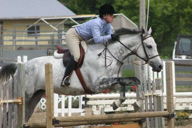 Dixie hunter over fences